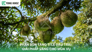 PHÂN BÓN TĂNG TỈ LỆ ĐẬU TRÁI: GIẢI PHÁP VÀNG CHO MÙA VỤ