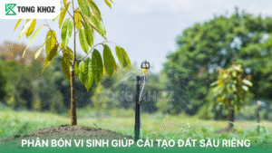 PHÂN BÓN VI SINH GIÚP CẢI TẠO ĐẤT SẦU RIÊNG