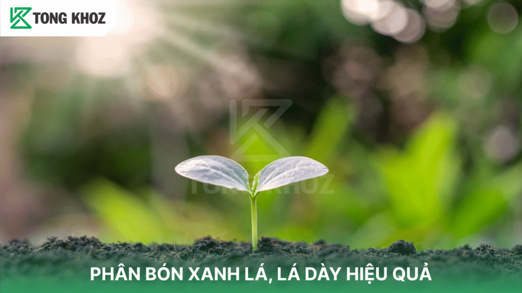 Phân bón xanh lá
