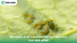 Rệp muội, mối nguy hại của bà con