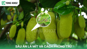 Sâu ăn lá mít và cách phòng trừ