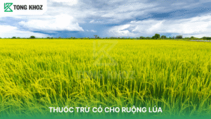THUỐC TRỪ CỎ CHO RUỘNG LÚA