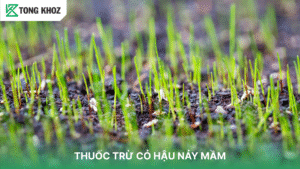 Thuốc trừ cỏ hậu nãy mầm