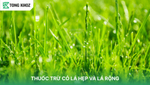 THUỐC TRỪ CỎ LÁ HẸP VÀ LÁ RỘNG