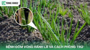 bệnh đốm vòng hành lá