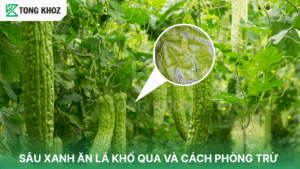 sâu xanh ăn lá khổ qua