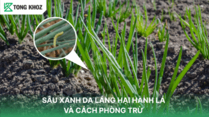 Sâu xanh da láng hại hành lá