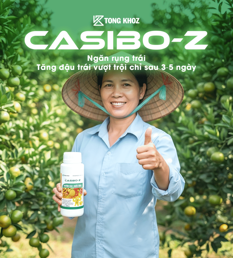 Tong kho Z - Casibo Z