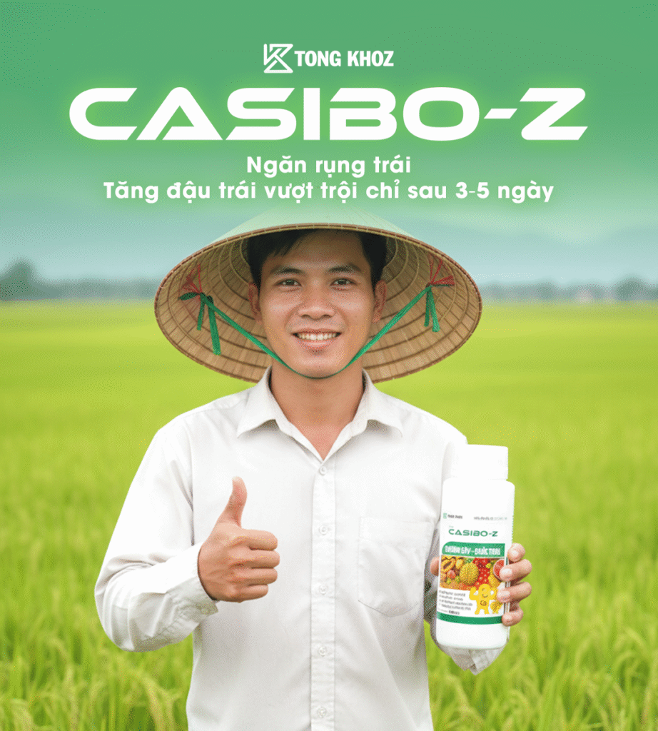 Tong kho Z - Casibo Z