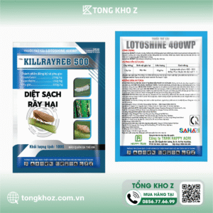 Thuốc trừ sâu LOTOSHINE 400WP hiệu KILLRAYREB 500