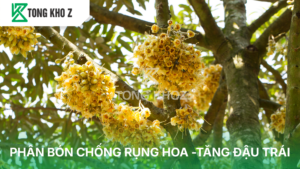 Phân bón chống rụng hoa