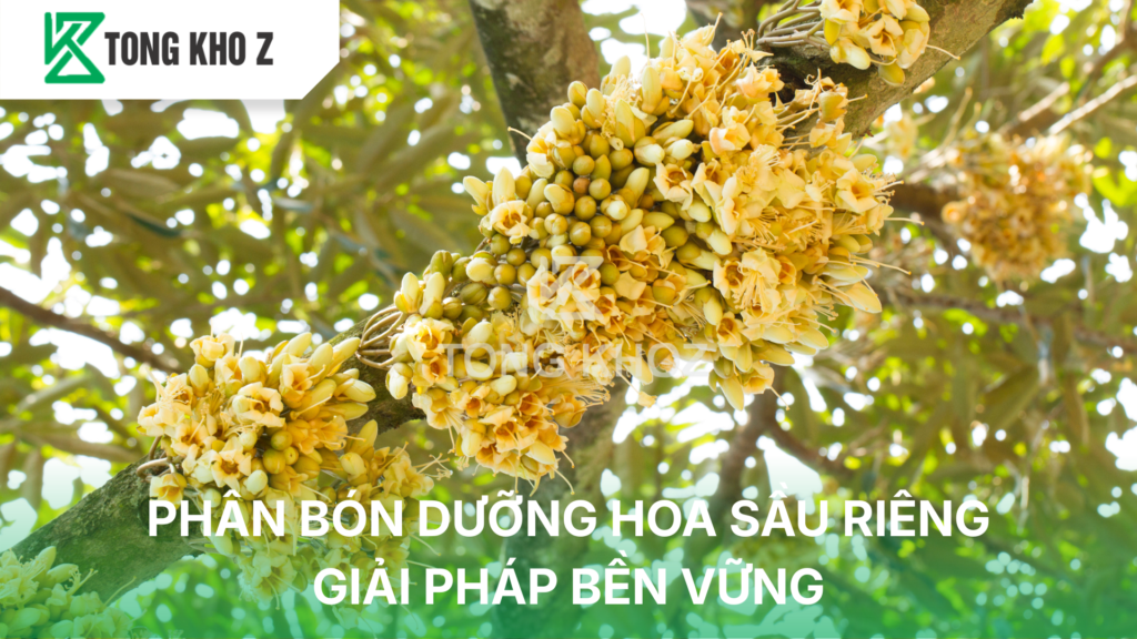 Phân bón dưỡng hoa