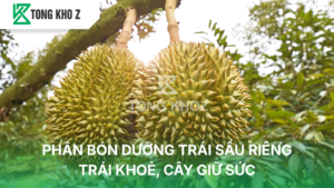 phân bón dưỡng trái