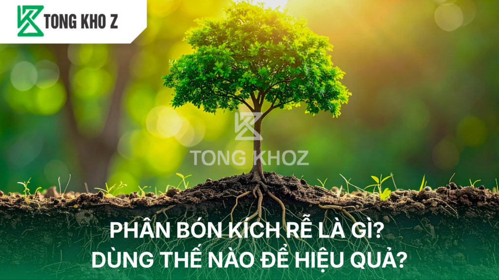 phân bón kích rễ